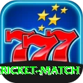 all cricket match Turbo Pro v2.4.0