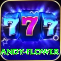 andy flower Master Pro v1.0.0