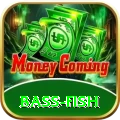 bass fish Pro1 v2.6.2