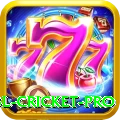 bbl cricket Live Pro