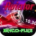bingo Master v2.6.5