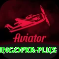 bingopkr Ultimate Pro v3.4.8