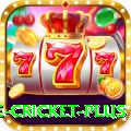 cricbuzz live cricket Extreme 2024
