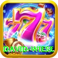 david wiese Deluxe Pro v5.1.9