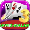 dawid malan Turbo Pro v3.3.8