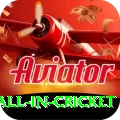 fastest ball in cricket Gold v2.0.2