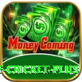 god of cricket Deluxe PK v5.3.3