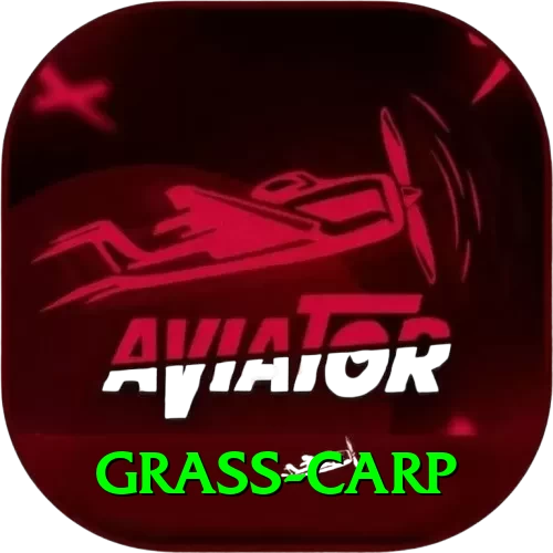 grass carp Premium Edition v3.5.1 - 2