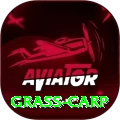 grass carp Premium Edition v3.5.1