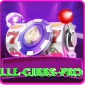 herschelle gibbs Slots Mega v1.2.8
