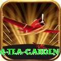 hile ilam tea garden Turbo v5.4.8