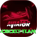 hong kong cricket team Plus Edition v4.8.0