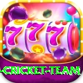india international cricket team Apps (Tools & Injectors) Turbo v1.3.1