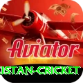 india pakistan cricket Turbo Pro v4.0.4