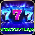 ireland cricket team Pro Max v3.8.2