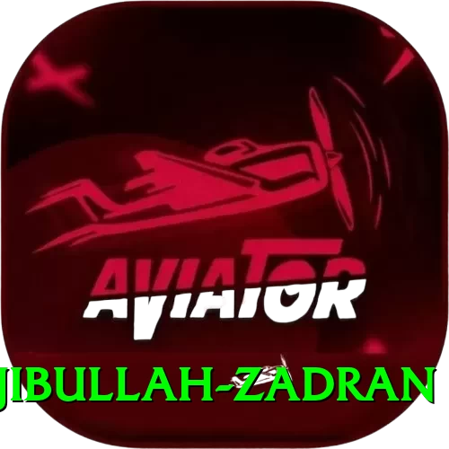najibullah zadran Premium v3.8.2 - 2