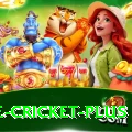 one cricket - Gold Edition v2.6.0