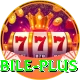 Online Casino Pakistan Mobile Plus