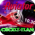 pakistan women cricket team Apps (Tools & Injectors) VIP v5.0.1