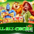 risk free bet cricket Plus