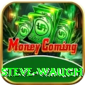steve waugh Pro Max v5.5.0