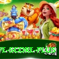 tnpl live score - Casino VIP
