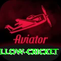 willow cricket Elite Pro v4.1.4