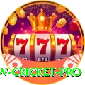 willow cricket Supreme - Win Real PKR