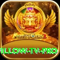 willow tv - Casino Master