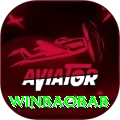 winbaobab Plus Edition v4.9.7